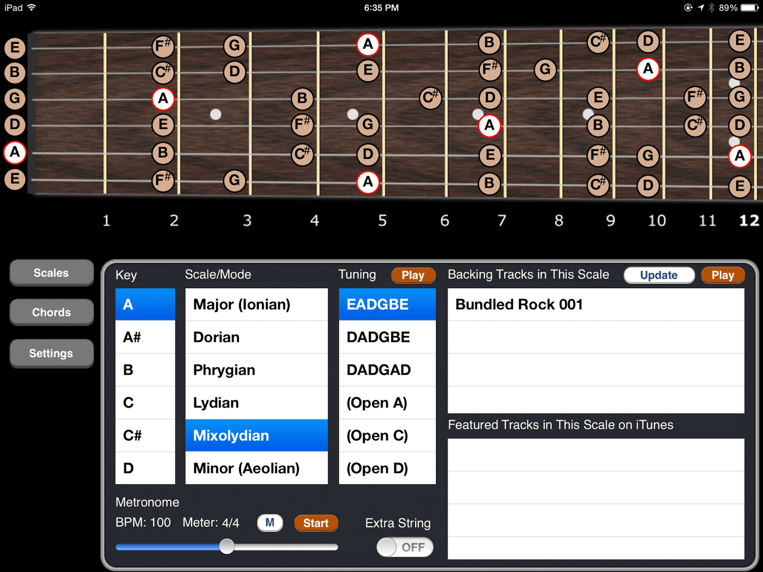 iPad iOS App: Guitar Practice Pad
